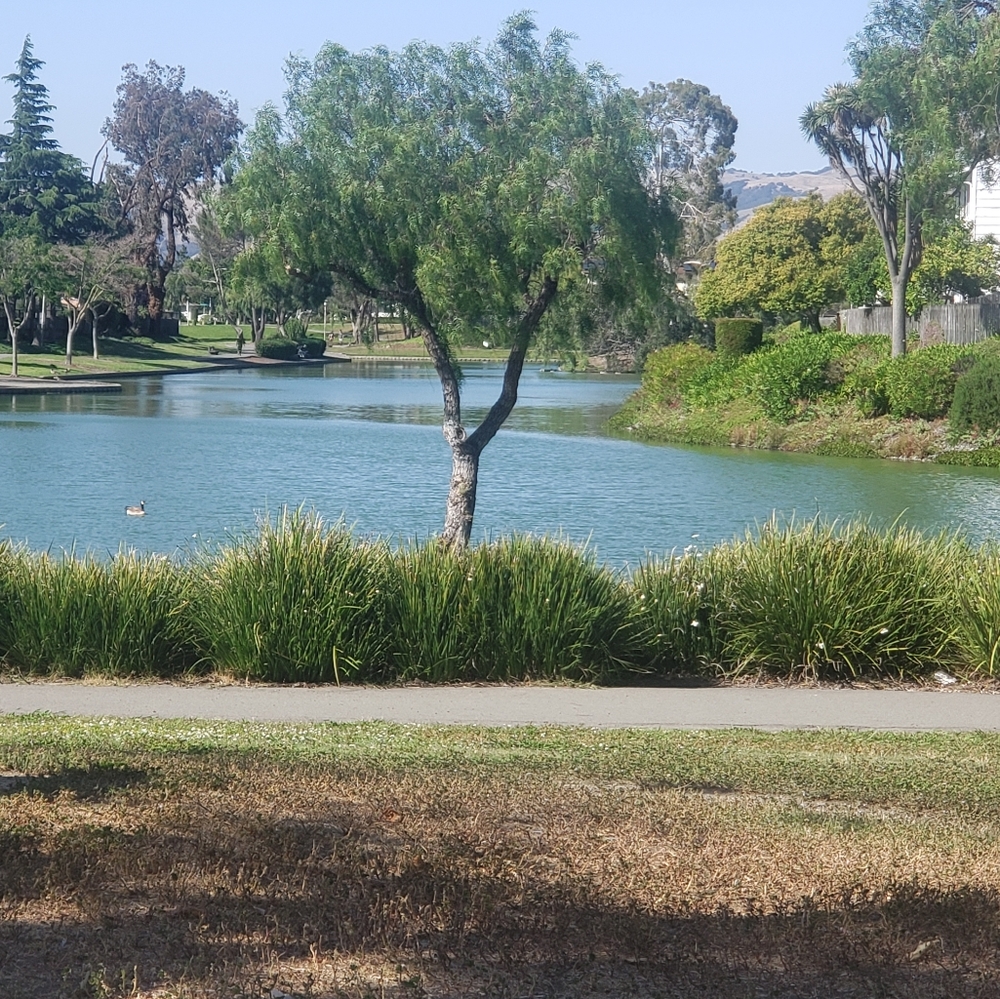 For Elizabeth C only